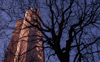 Boston trees winter concrete color