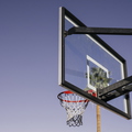 Tempe_in_November_Basketball_Court_Palm_tree_01.jpg