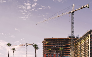 Tempe Summer Downtown Construction Tower Cranes Palm Trees