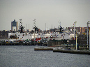 Picture%20088