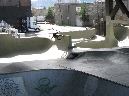burnside-106