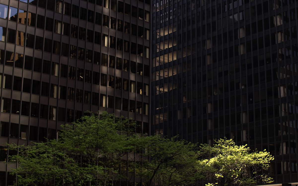 %_tempFileNameChicago%201%20083%201%