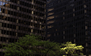 %_tempFileNameChicago%201%20083%201%