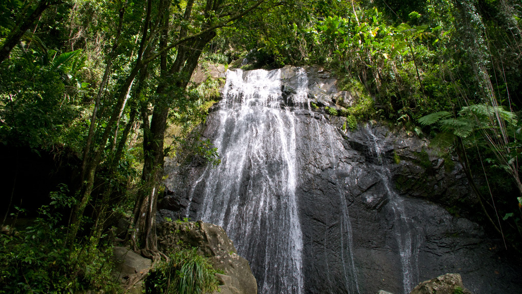 El%20Yunque%20025