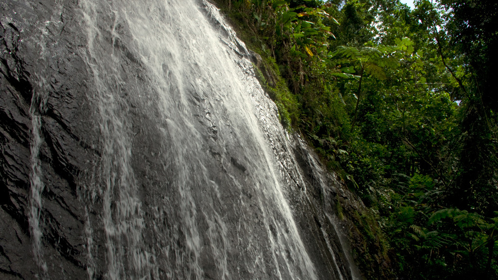 El%20Yunque%20043-1