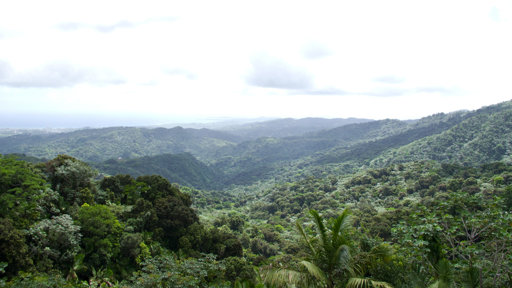 El%20Yunque%20053
