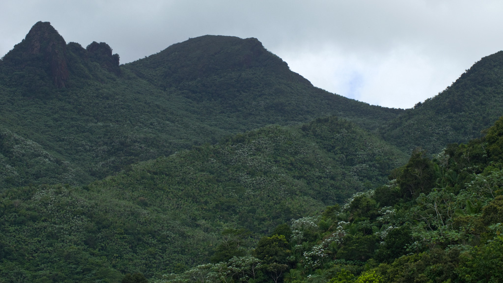 El%20Yunque%20062