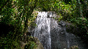 El%20Yunque%20025