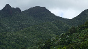 El%20Yunque%20062