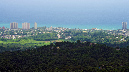 El%20Yunque%20074