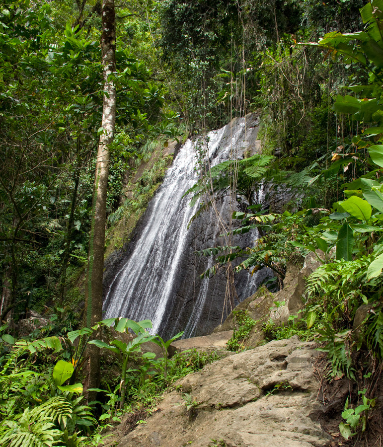 El%20Yunque%20022