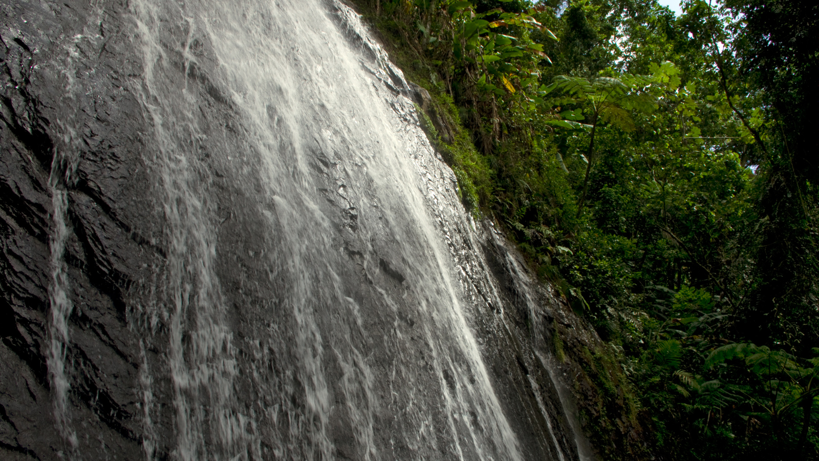 El%20Yunque%20043-1