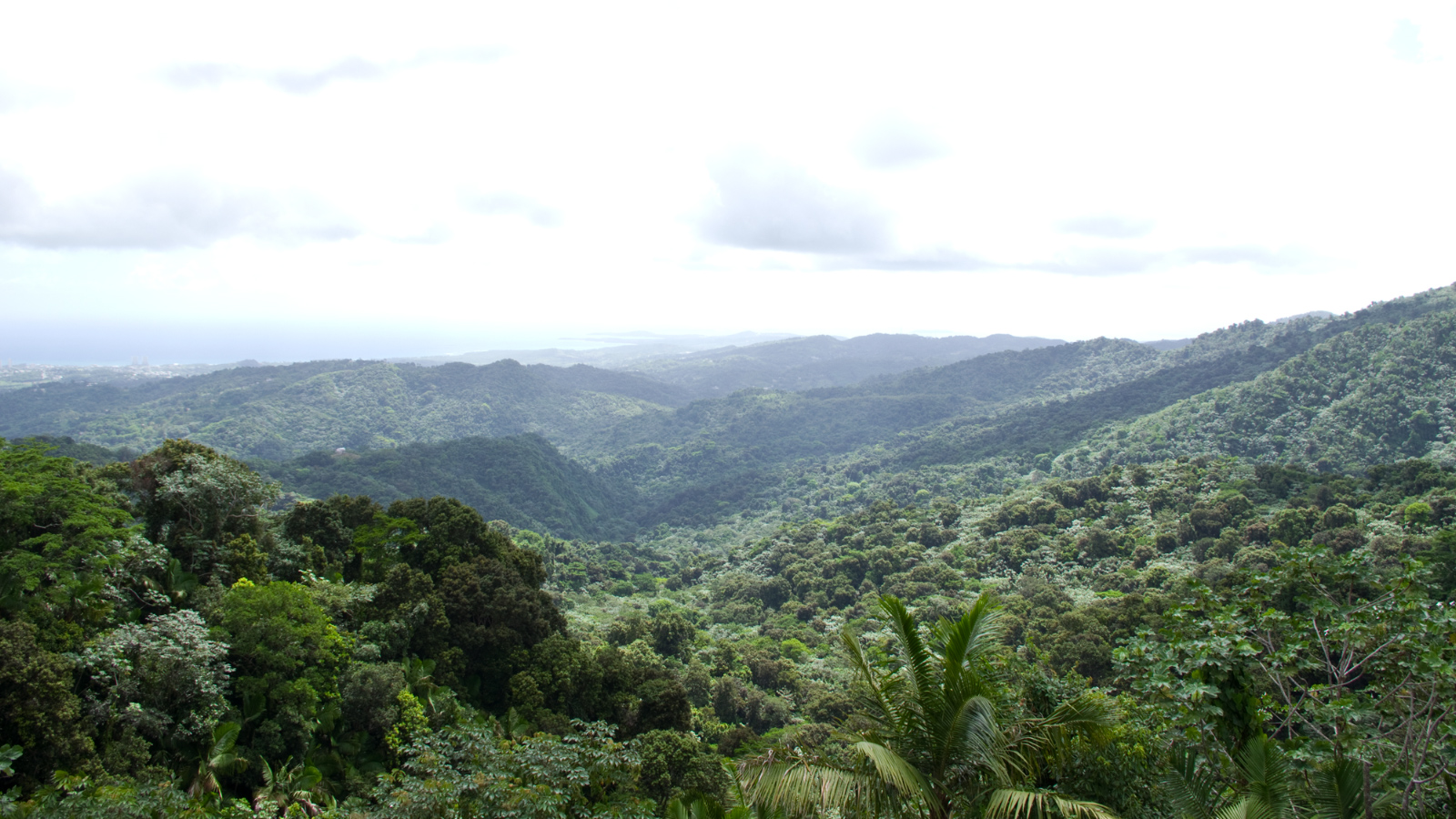 El%20Yunque%20053