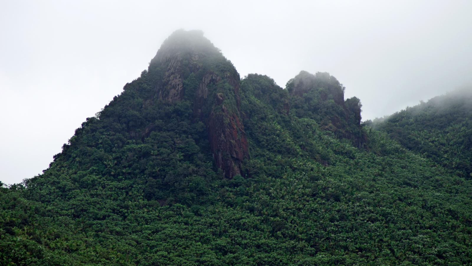 El%20Yunque%20070