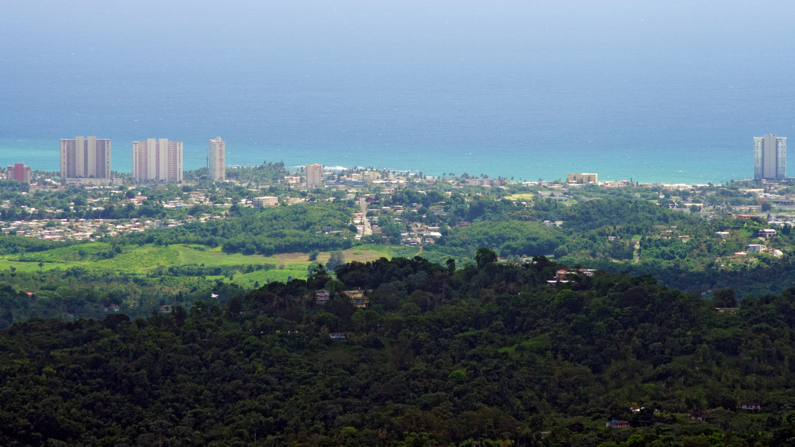 El%20Yunque%20074