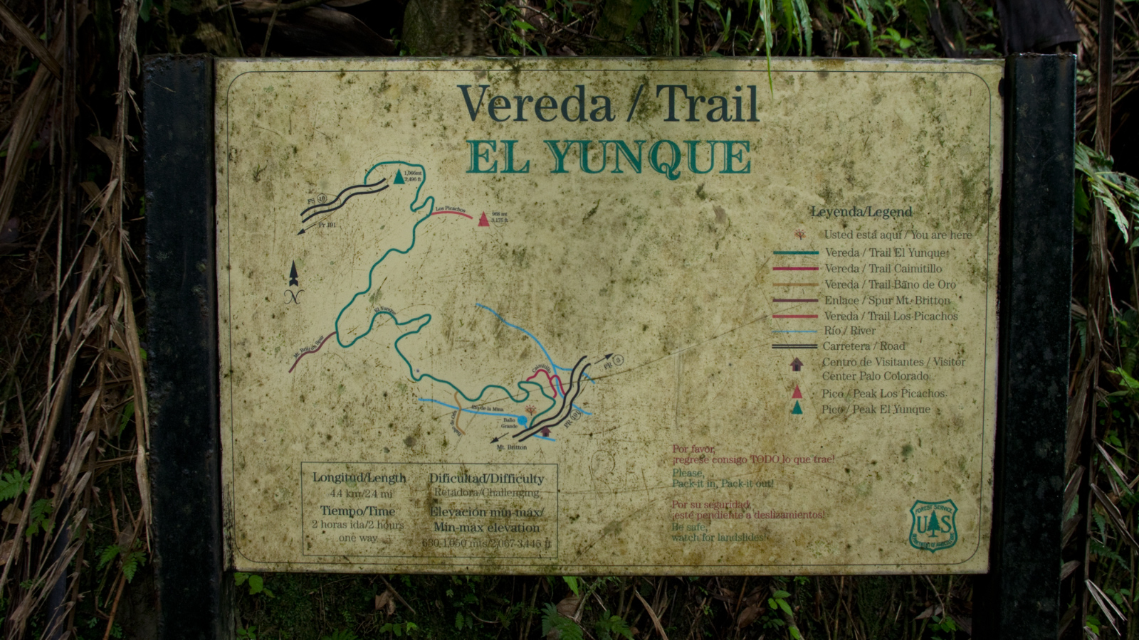 El%20Yunque%20119