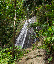 El%20Yunque%20022