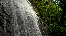 El%20Yunque%20043-1