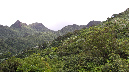El%20Yunque%20059