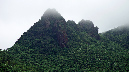 El%20Yunque%20070