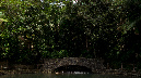 El%20Yunque%20105