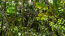 El%20Yunque%20134