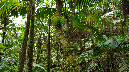 El%20Yunque%20143