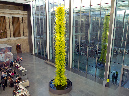 Boston%20MFA%20001