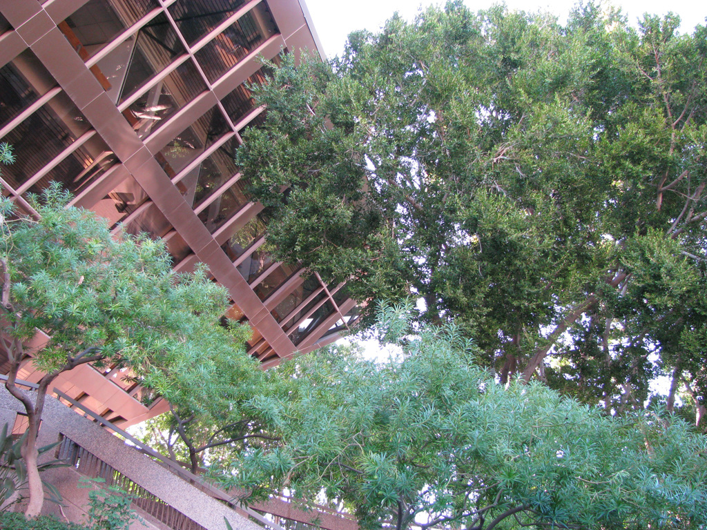 Picture%20103