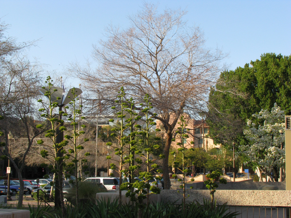 Picture%20105