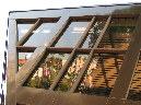 Picture%20091