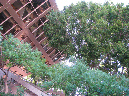 Picture%20103