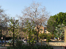 Picture%20105