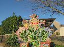 Picture%20107