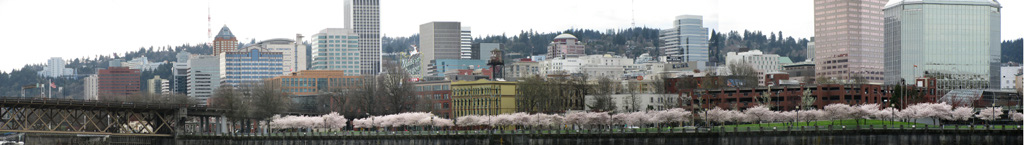APS%20March%202010%20-%20Portland,%20OR%20133