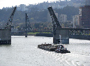 APS%20March%202010%20-%20Portland,%20OR%20146