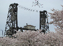 APS%20March%202010%20-%20Portland,%20OR%20169