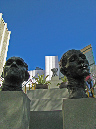 Picture%20142