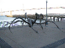 San%20Francisco%20Spring%202009%20093