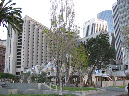 San%20Francisco%20Spring%202009%20119