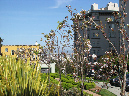 San%20Francisco%20Spring%202009%20day%202%20112