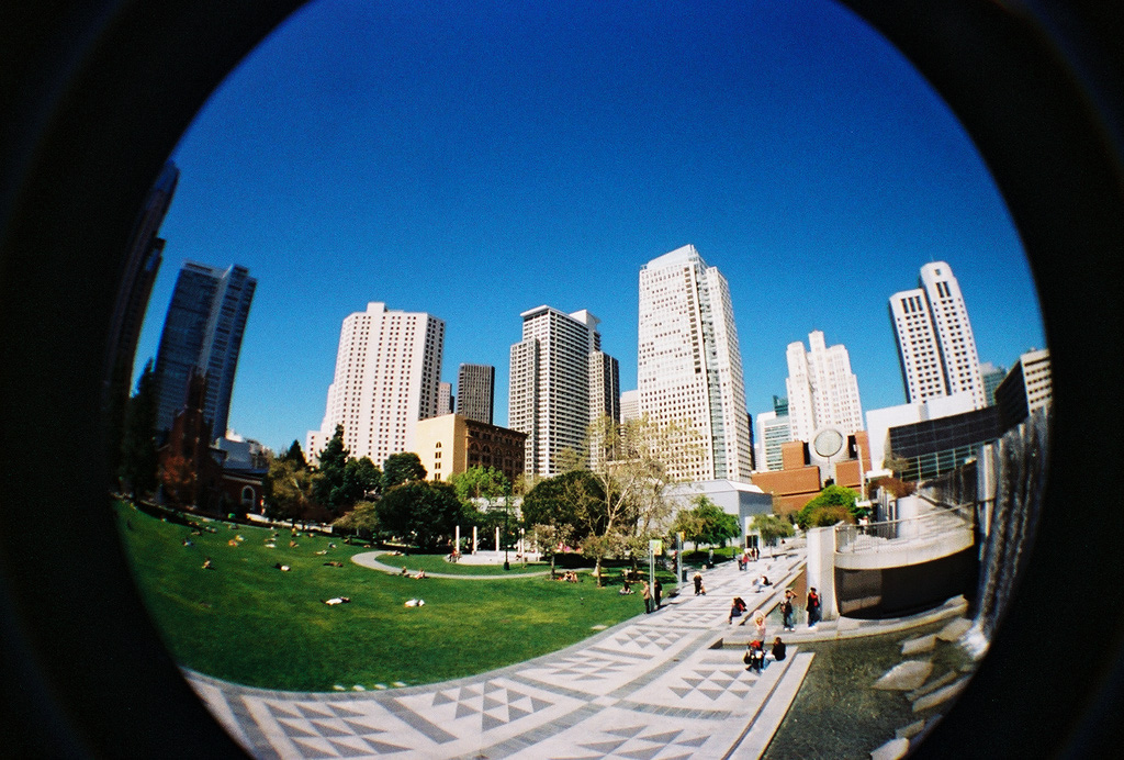 Picture%20012