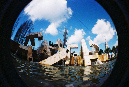 Picture%20007
