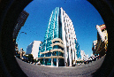Picture%20011