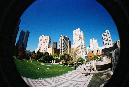 Picture%20012