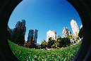 Picture%20013