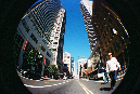 Picture%20016