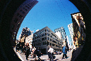 Picture%20017