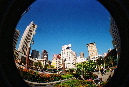 Picture%20030