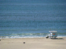 Picture%20031